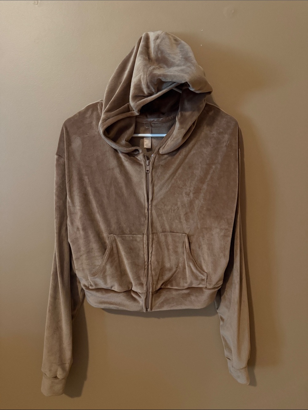 Skims velour hoodie